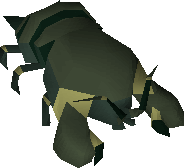 Rock lobster