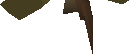 Large mosquito