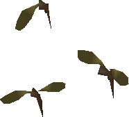 Mosquito swarm