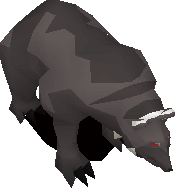 Callisto