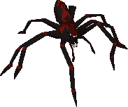 Venenatis