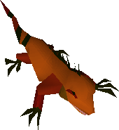 Cave lizard