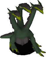 Hydra